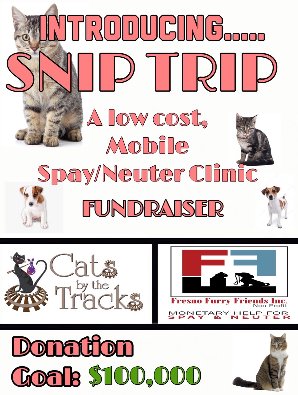 Snip Trip clinic photo