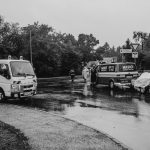 A rescue transport vehicle moving animals between shelters
