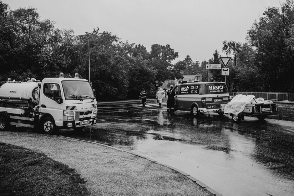 Cat Rescue Transport Networks: How Cats Get From Overcrowded Shelters to Empty Ones