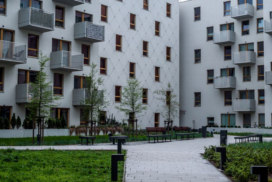 An apartment complex courtyard, a common area where community cats may be seen