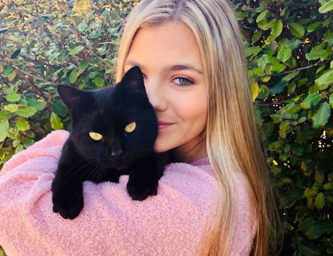 Black cats are just as affectionate as any other coat color