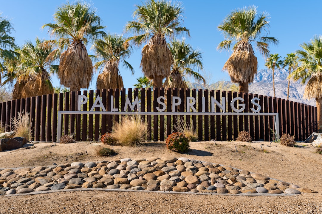 Cat Adoption in Palm Springs, CA: Shelters, Fees & Where to Go