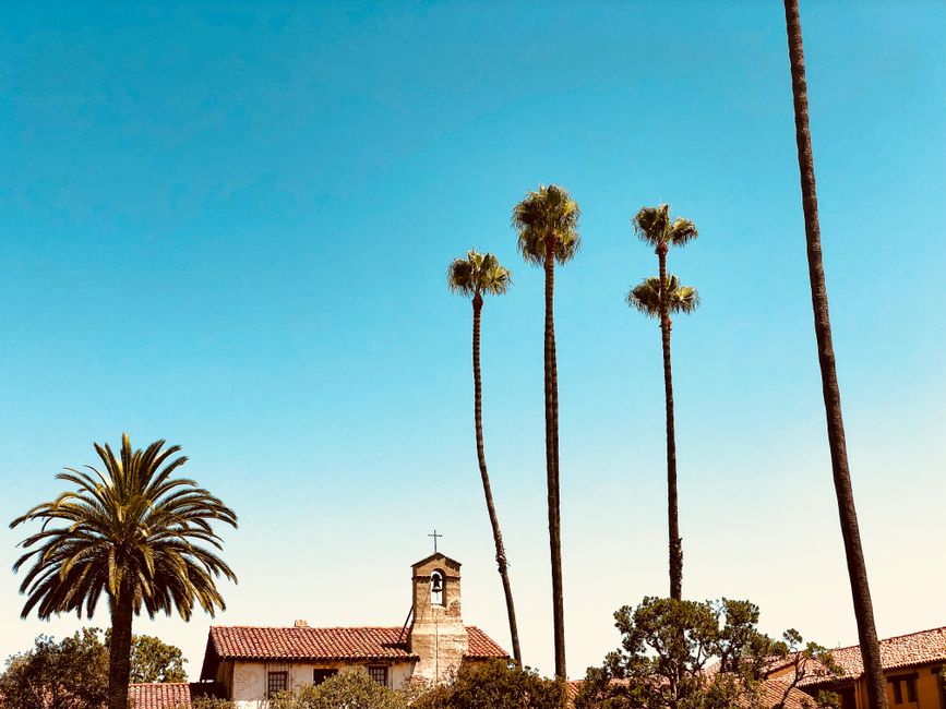 Cat Adoption in Santa Barbara, CA: Shelters, Fees & Where to Go
