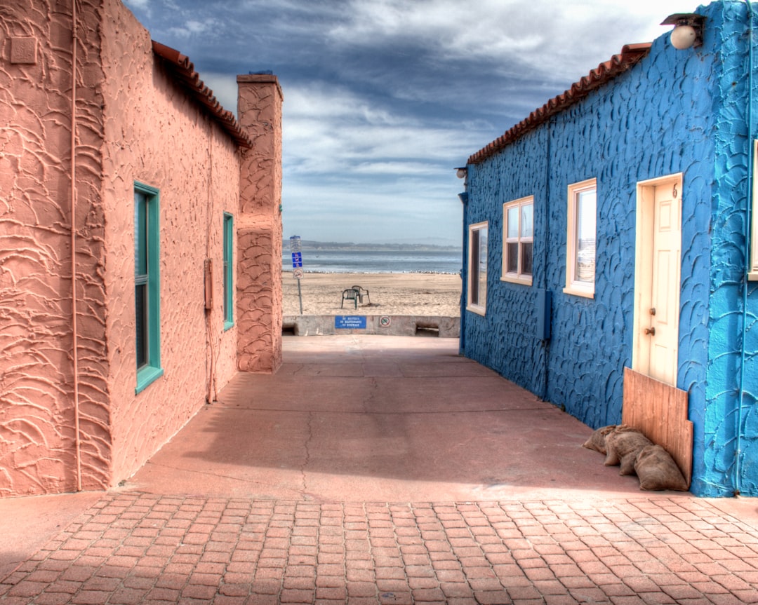 Cat Adoption in Victorville, CA: Shelters, Fees & Where to Go