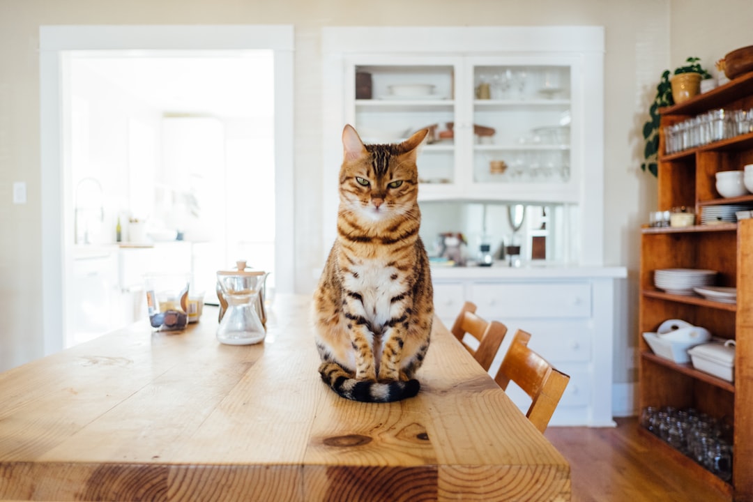 A successful pet-approved rental agreement benefits both tenant and landlord
