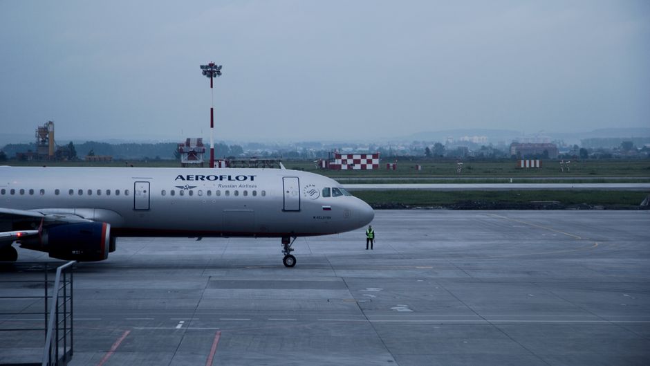 An airline-approved cat carrier prepared for air travel