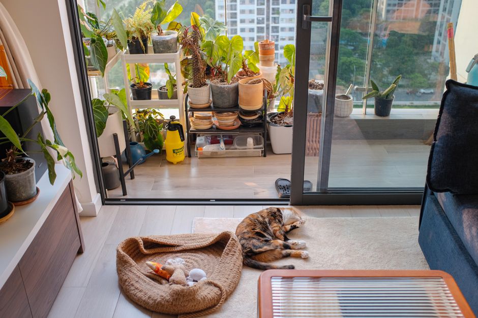 A home prepared to pass a foster care home inspection