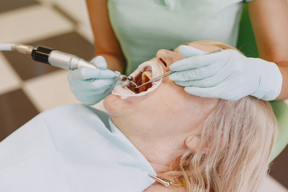 A cat receiving a professional dental cleaning