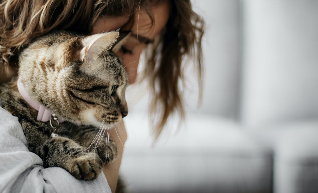Thinking About Surrendering Your Cat? Try This First