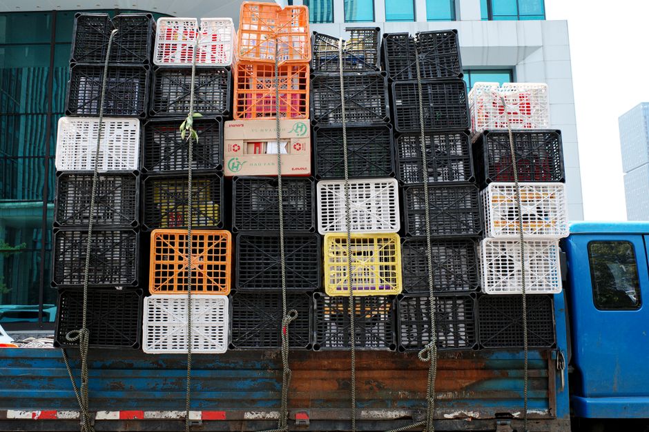 Cats in crates being loaded for transport to a destination shelter