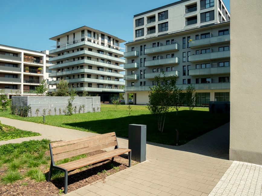 Managing Community Cats Near an Apartment Complex or Business