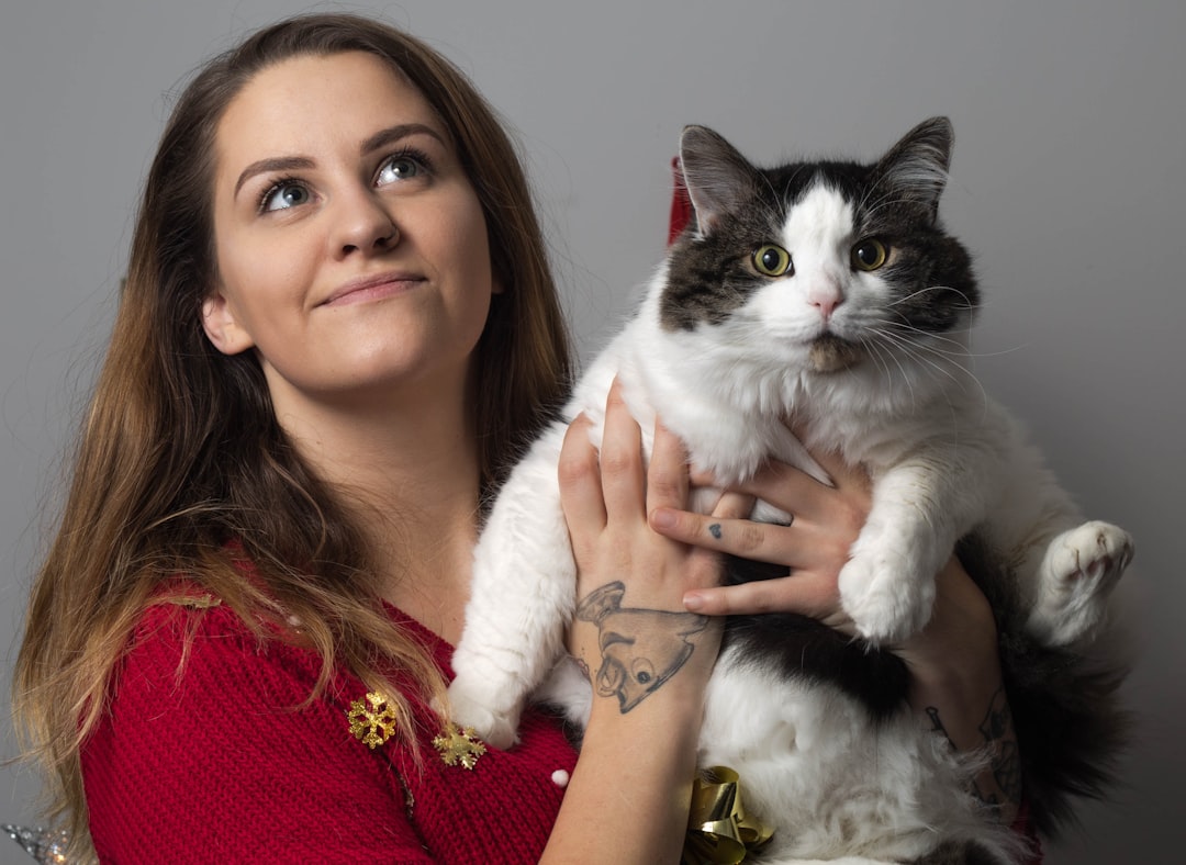 A shelter volunteer holding a cat available for adoption