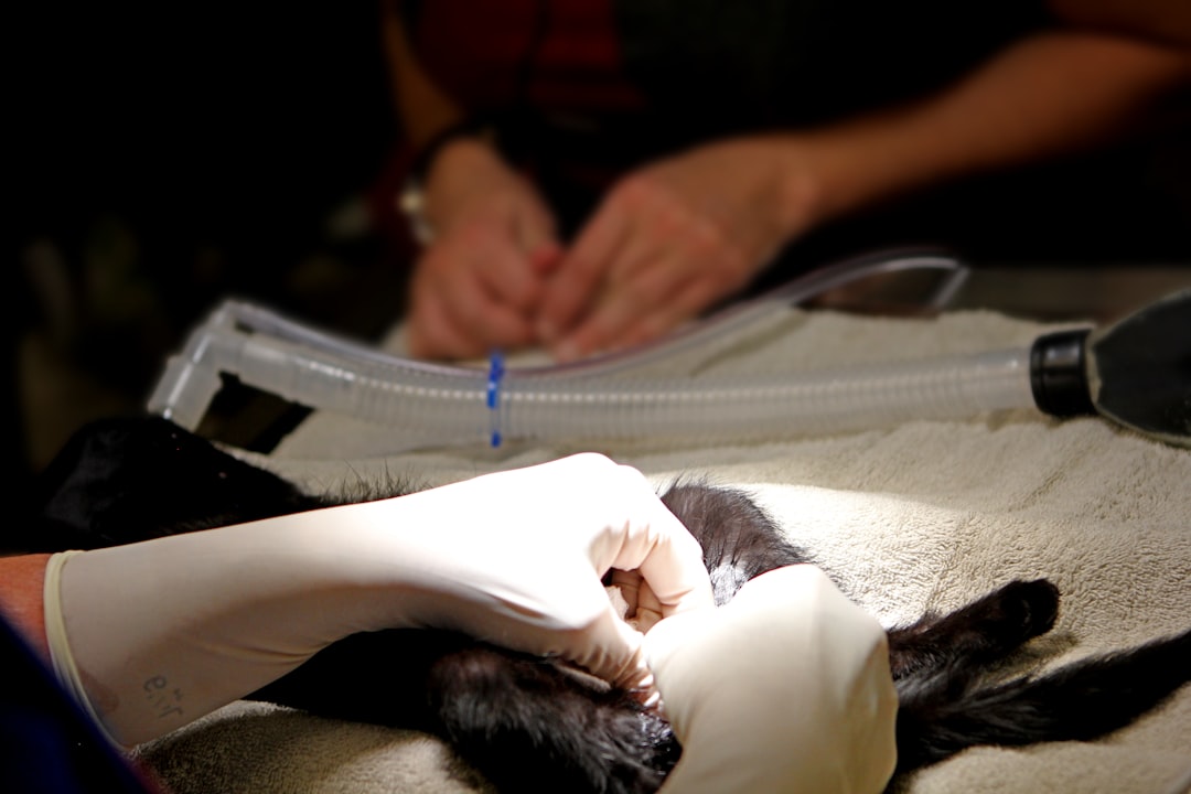 Ear-Tipping Explained: Why Vets Do It and How It’s Done
