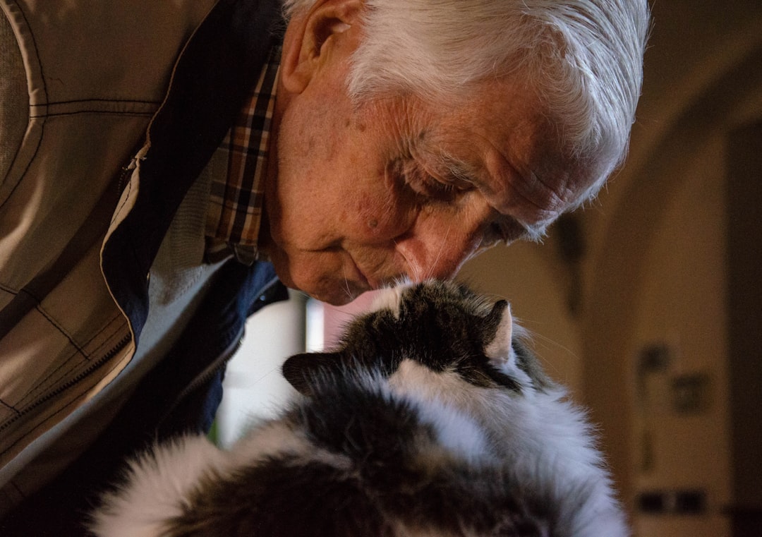 With proper care, many FIV-positive cats live a full, normal lifespan
