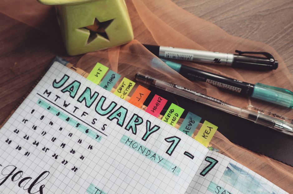 Planning a foster care timeline before committing to a cat