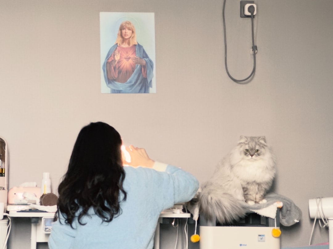 A cat receiving a health exam and vaccination at a TNR clinic