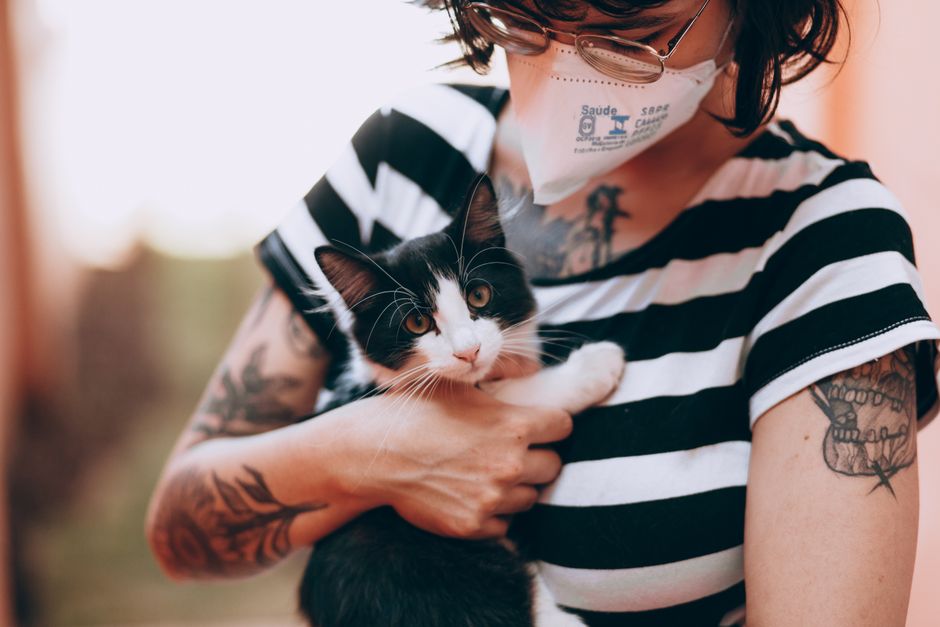 A newly adopted cat in its new Long Beach home