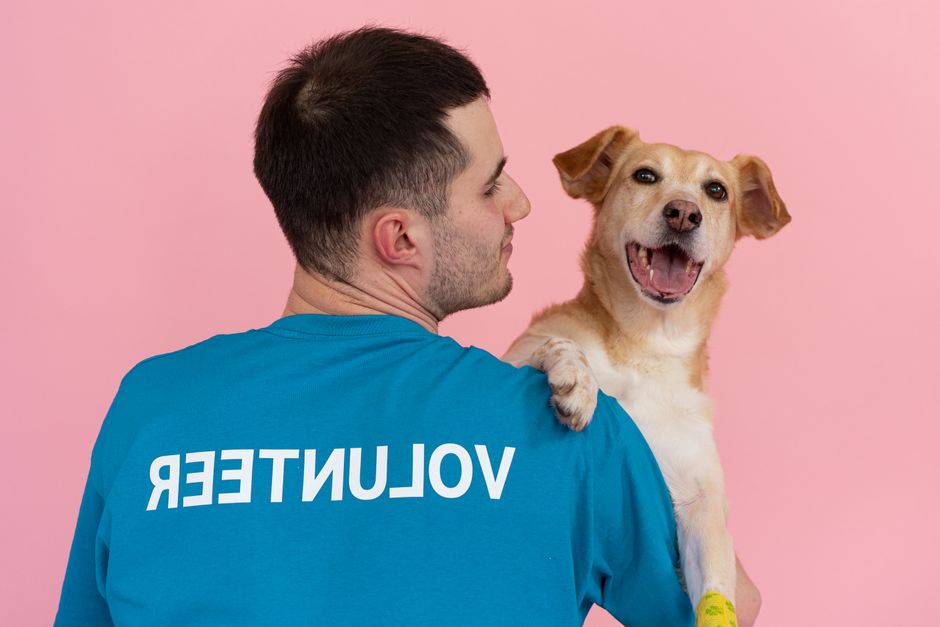 Shelter staff assisting an adopter at a Long Beach animal facility