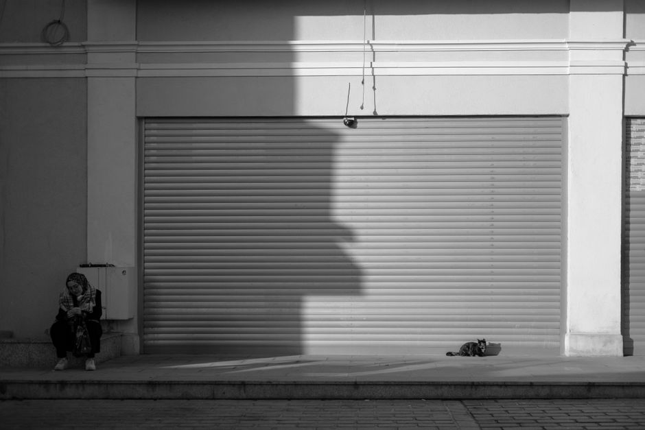 An owner sitting quietly nearby to build trust with a shy cat