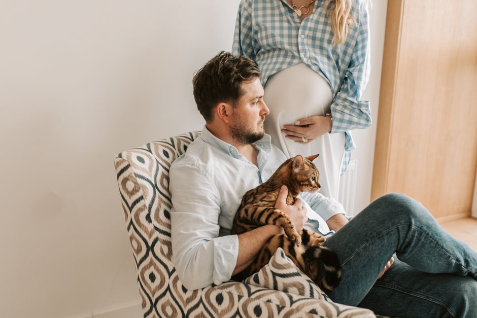 A supervised, calm introduction between a cat and a new baby