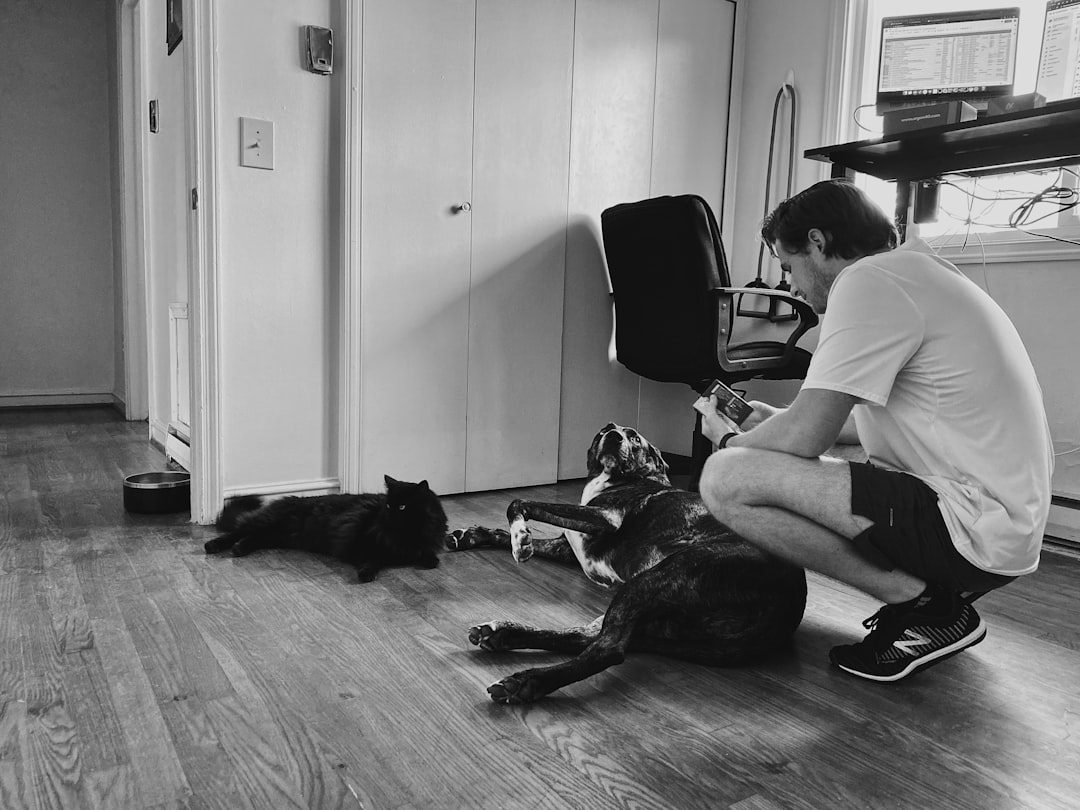 Finding pet-friendly housing is one alternative to surrendering a cat