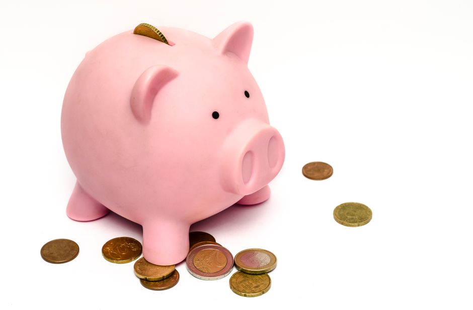 Savings and pet insurance both help offset unpredictable cat ownership costs