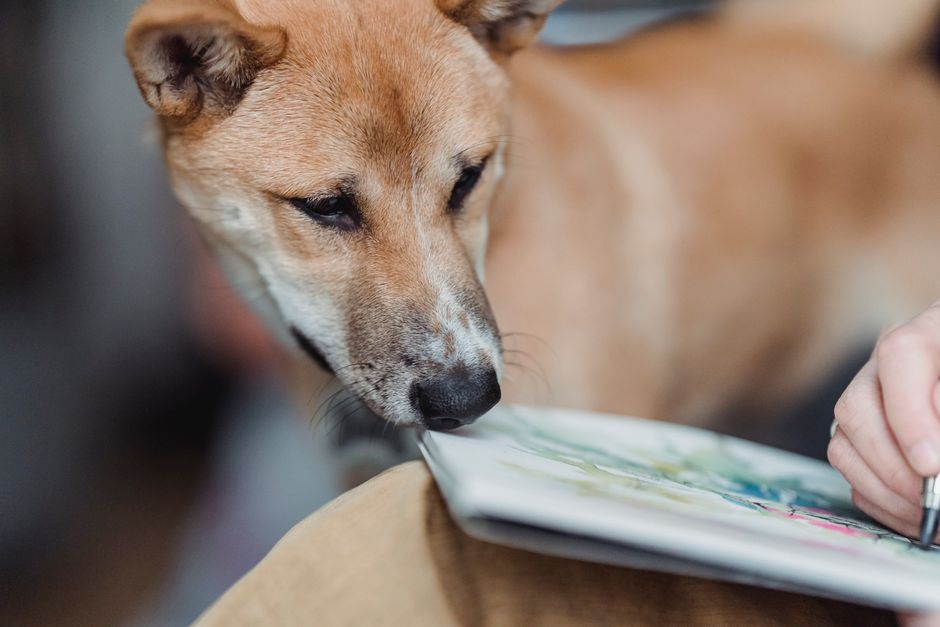 A pet portrait created for a rescue art auction