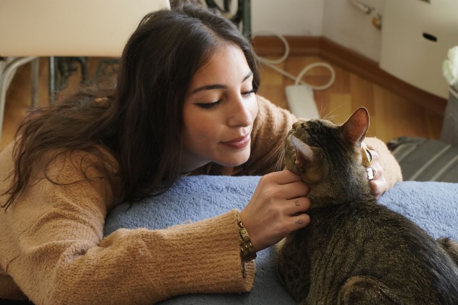 A prospective adopter spending one-on-one time with a shelter cat