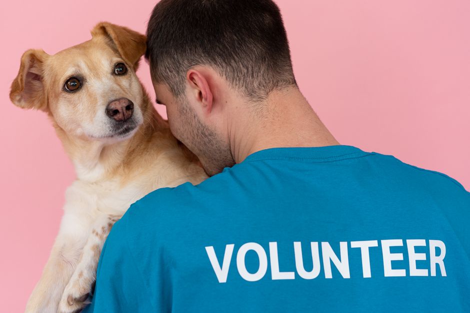 Shelter staff reviewing an adoption application with a prospective adopter