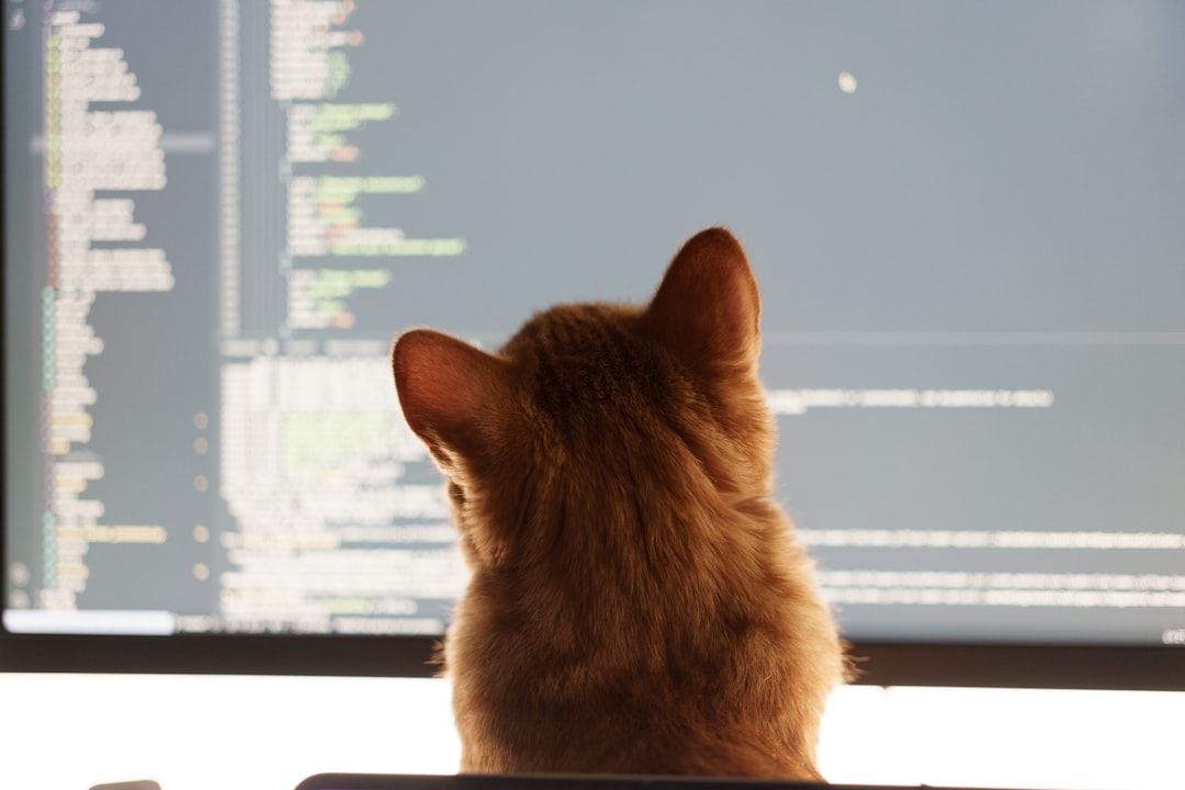 Research supporting the long-term effectiveness of TNR programs