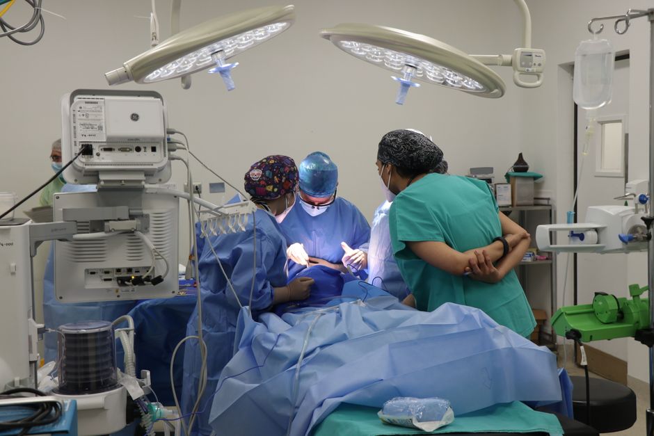 A spay/neuter surgery performed as part of an evidence-based TNR program