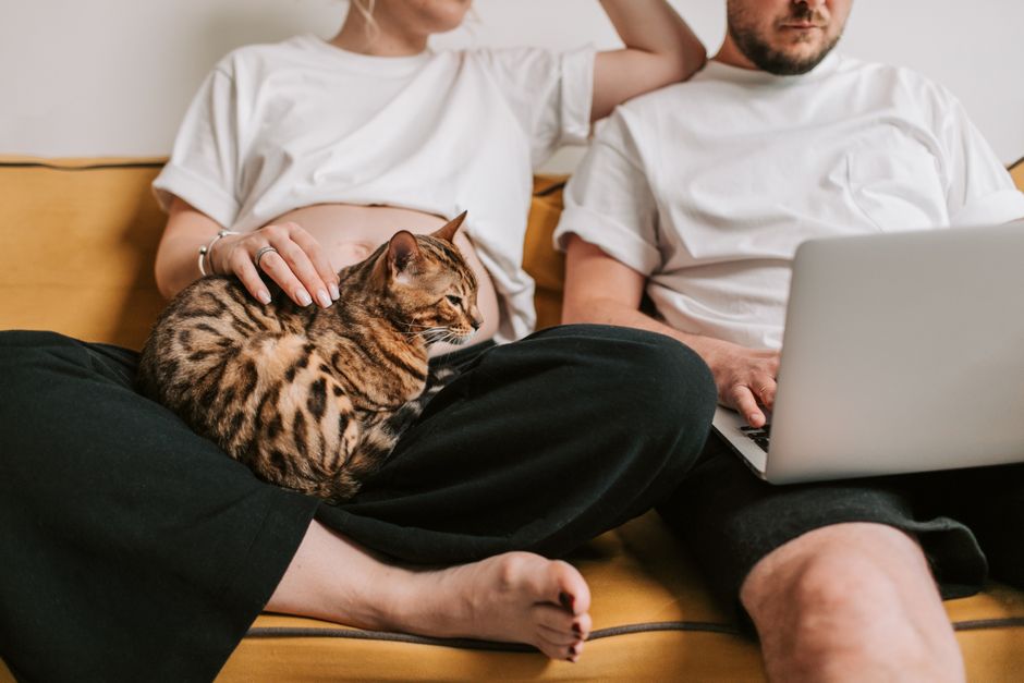 A family adopting a cat together in Vallejo, CA