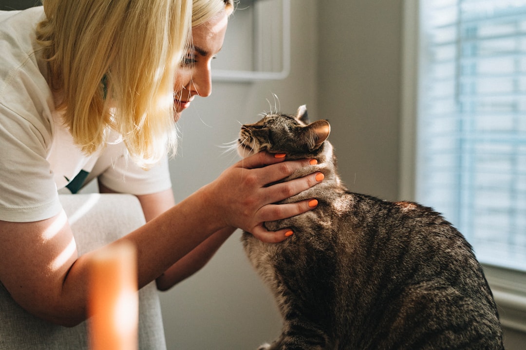A vet visit can rule out medical causes behind a behavior problem