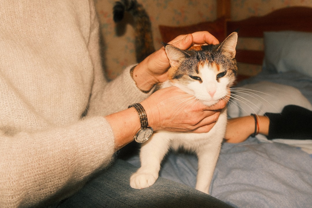 A happy new owner petting a cat adopted in Visalia, CA