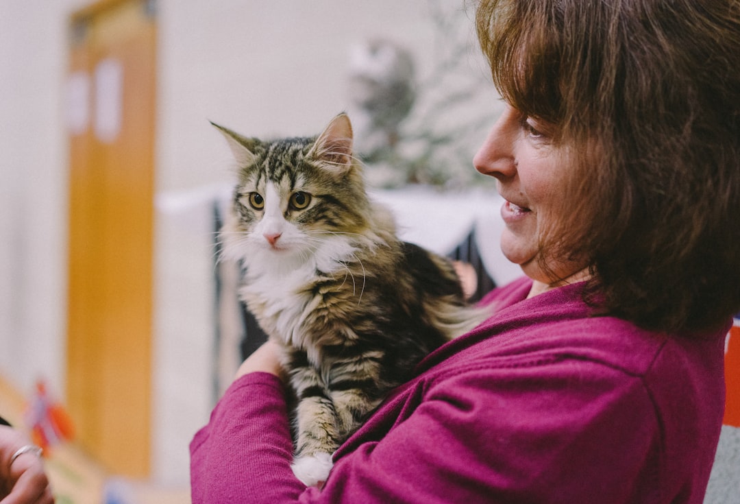 How to Volunteer at a Cat Rescue in Fresno, CA