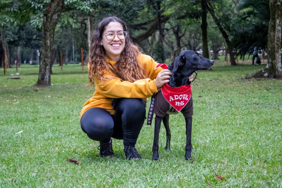 Volunteer Opportunities Beyond Fostering