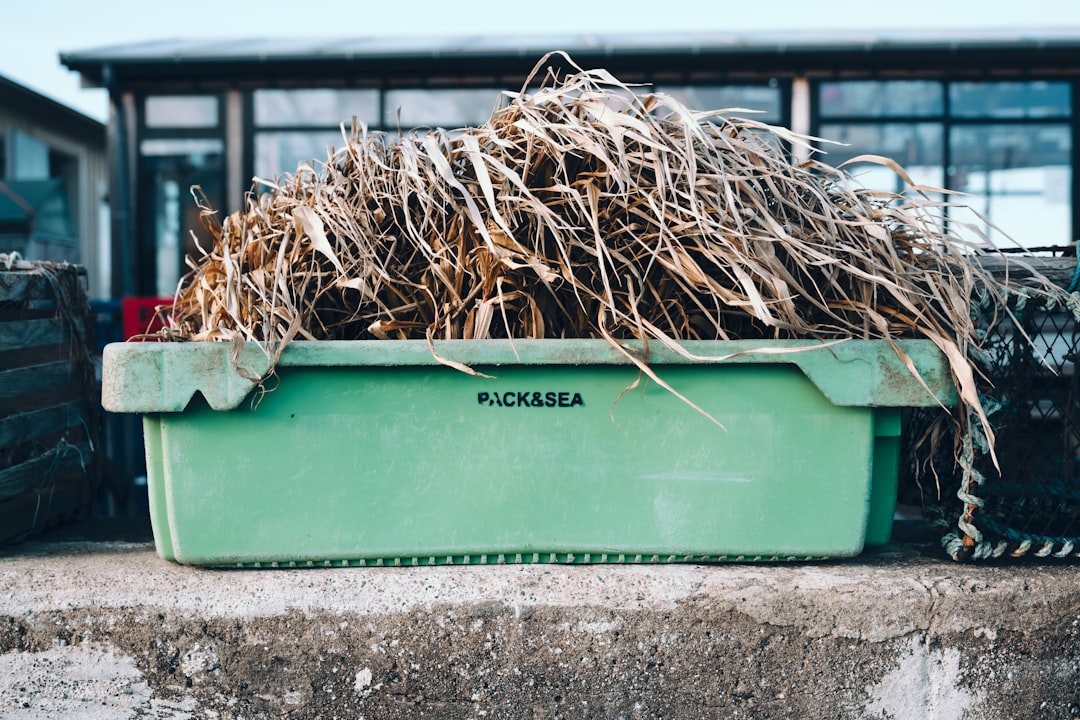 Plastic storage bins and straw used to build an insulated outdoor cat shelter