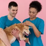 An employee using workplace volunteer time off at an animal shelter