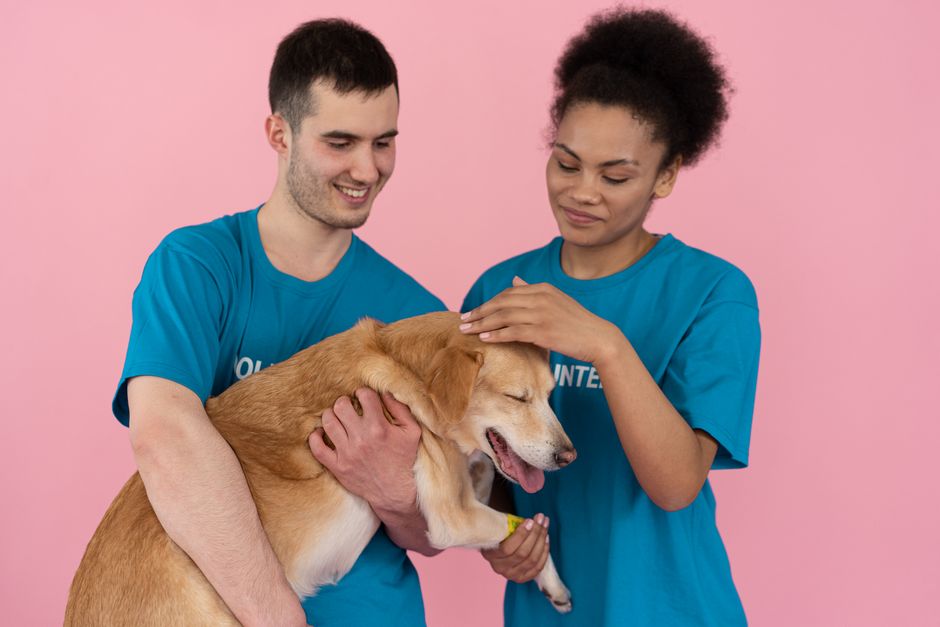 Workplace Volunteer Time Off for Animal Causes: What to Know