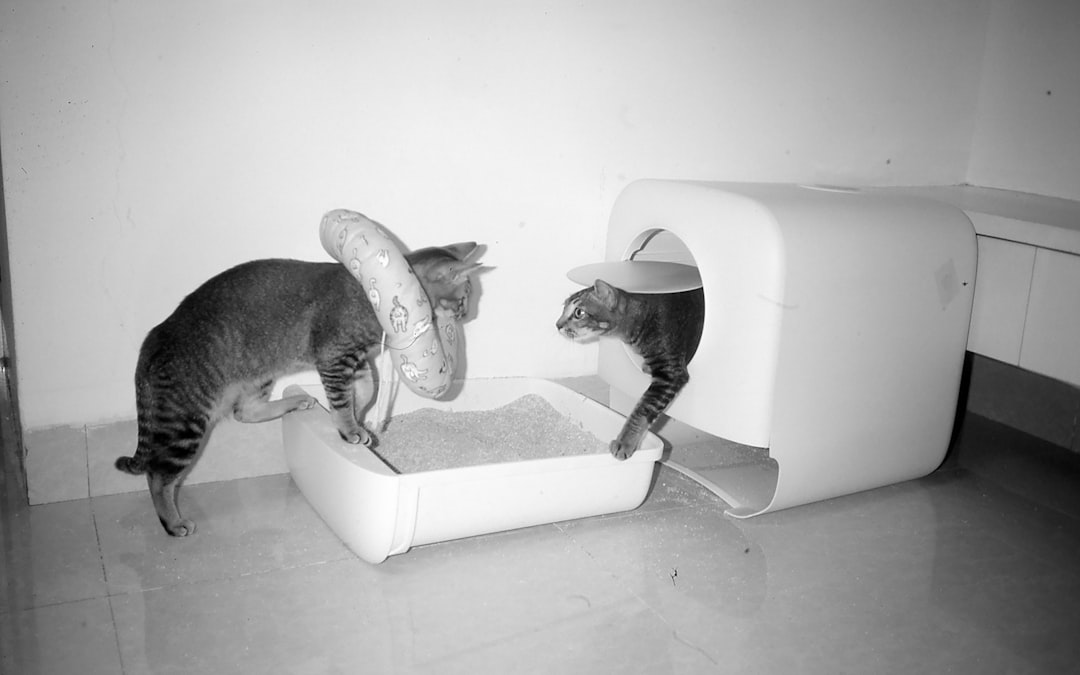 Multiple accessible litter trays reduce accidents
