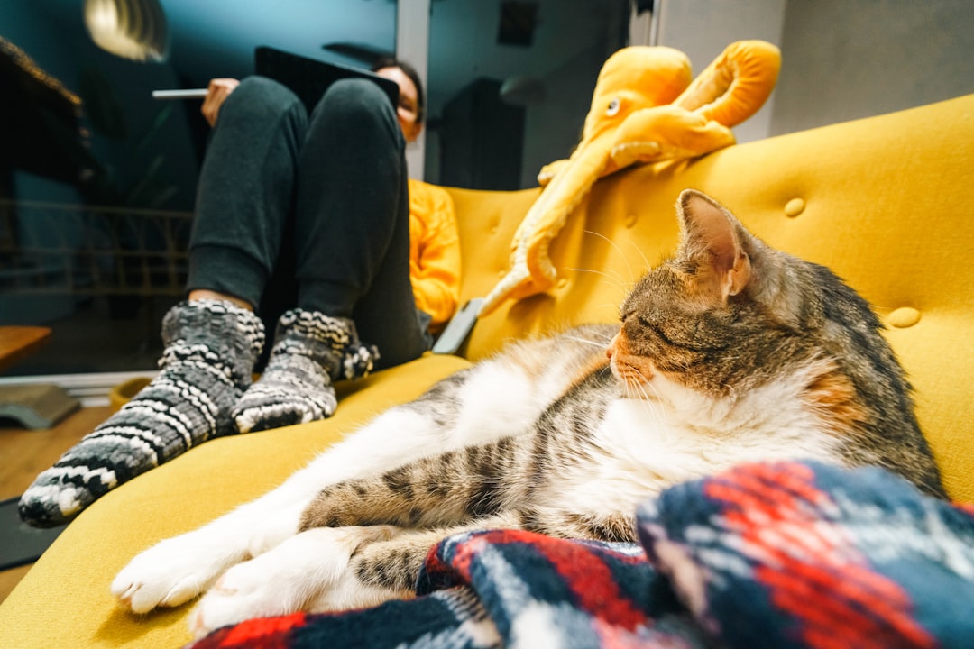 A successful match, which starts with an accurate adoption profile