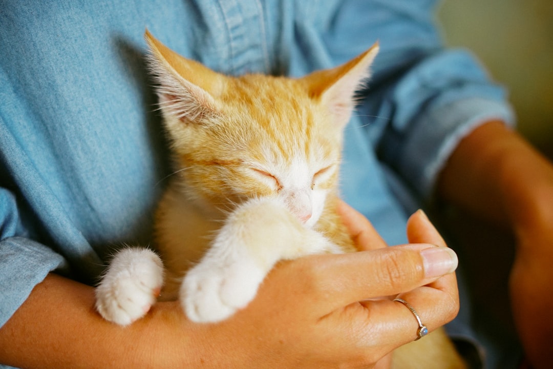 A new adopter with their cat in Atwater