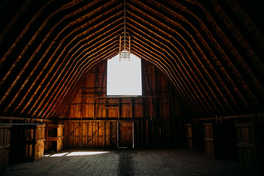 A barn of the kind used as a relocation site for working cats