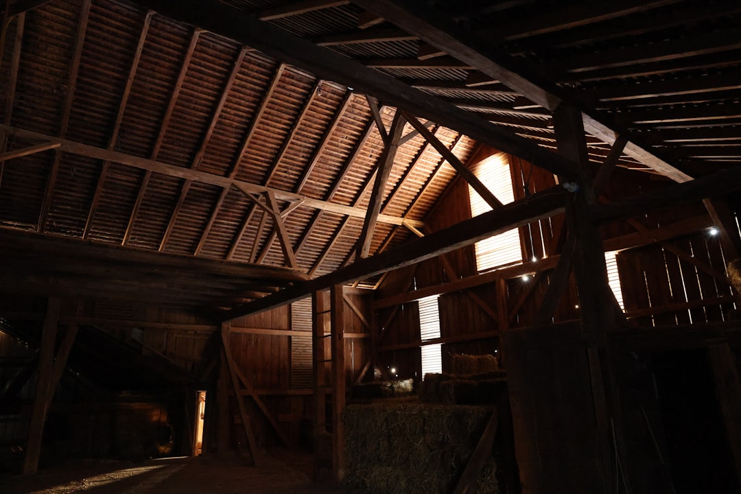 A barn environment where working cats are commonly placed