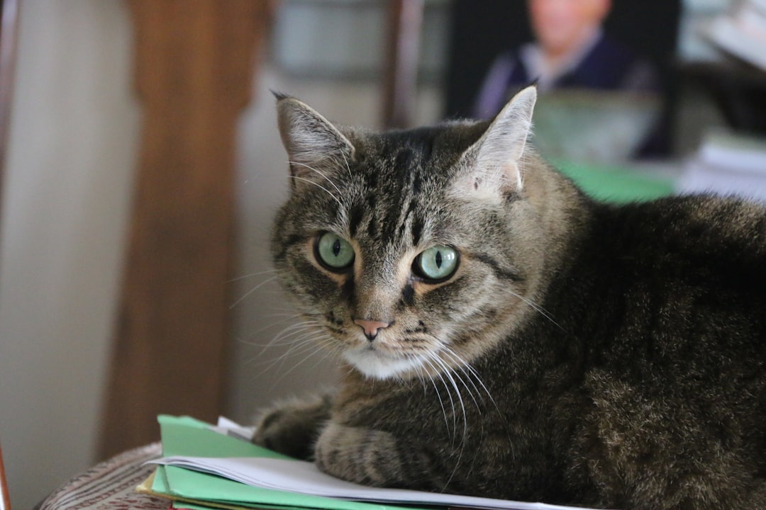Written care instructions and medical records prepared for a future caregiver