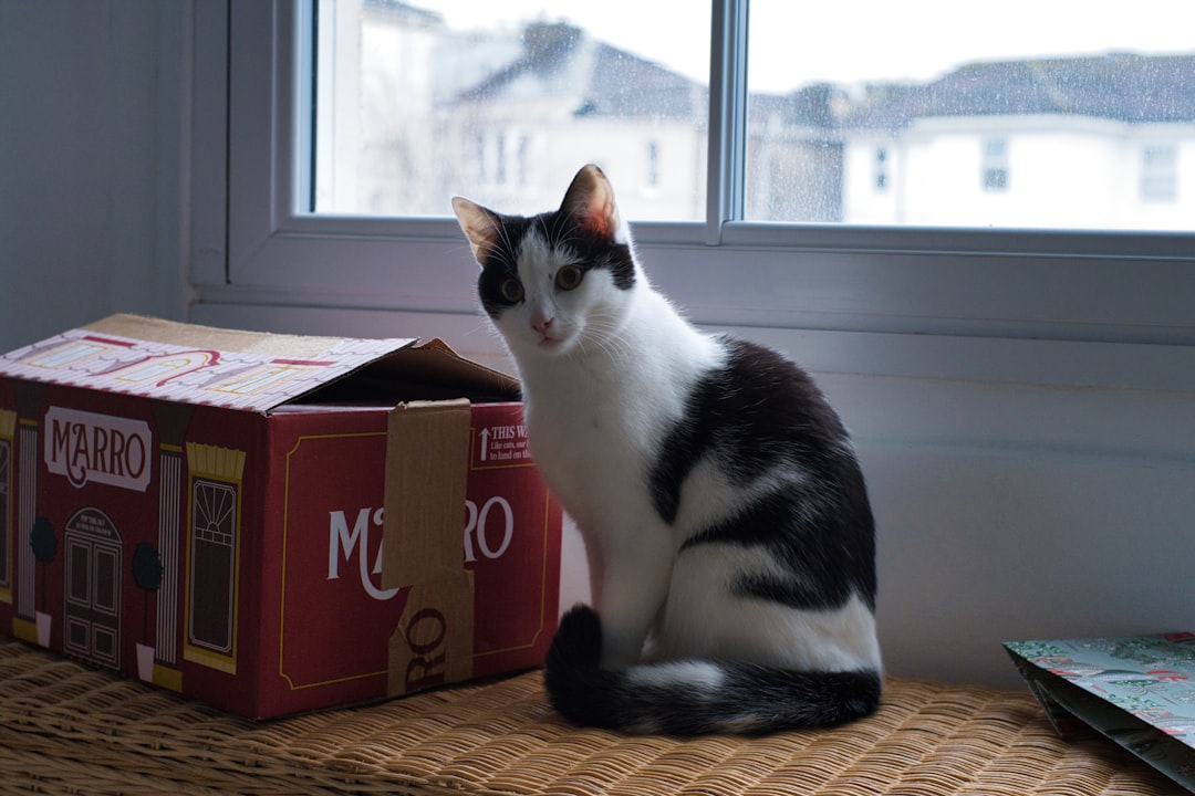 Leaving the carrier out permanently makes it ordinary furniture
