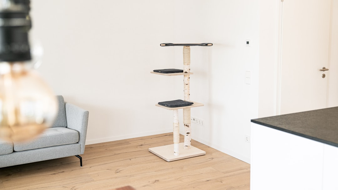 A tall perch near the kitchen gives an acceptable alternative