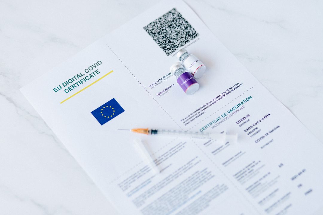 A vaccination record card handed over at adoption