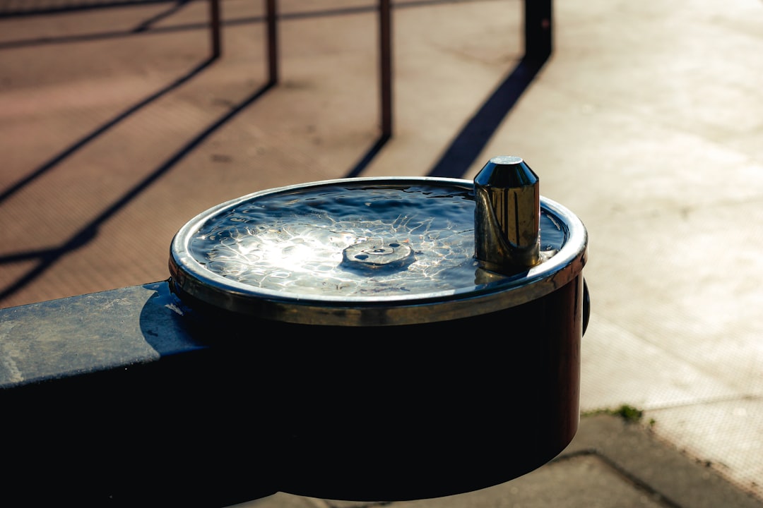 Increasing water intake is central to preventing urinary problems