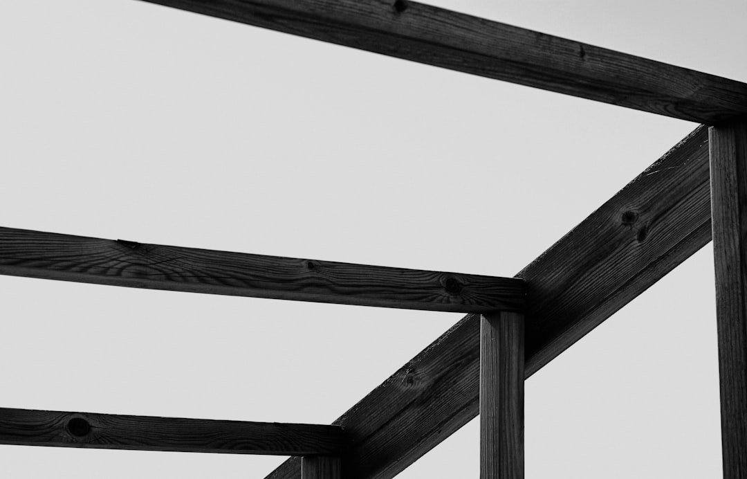 Timber framing for a catio structure